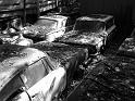 Autofriedhof - 038